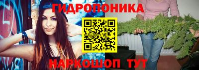 ECSTASY Братск