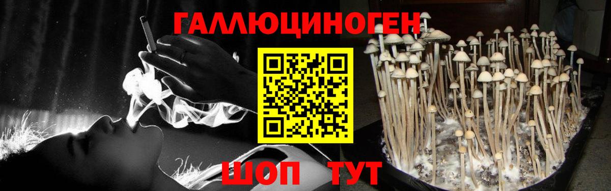 Галлюциногенные грибы мицелий Белая Калитва