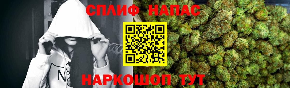 Белая Калитва  Канабис планчик  Вход с VPN  Конопля Amnesia  Бошки марихуана марихуана  Марихуана ГИДРОПОН 